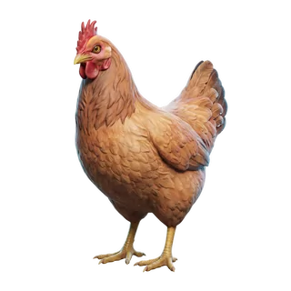 Catalan · Ginger